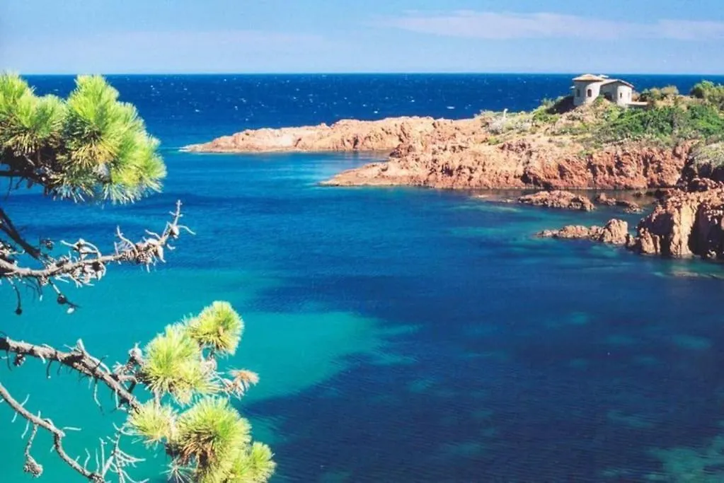 Apartment Superbe Appartement Dans Villa Provencale Piscine Et Jardin Frejus